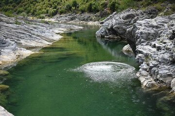 Swimming in the wild river