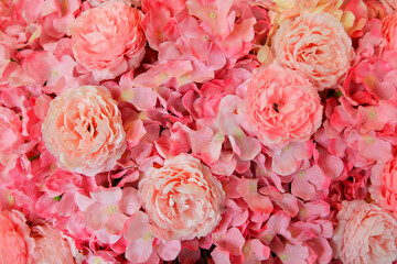 Beautiful Pattern of pink flower background. Beauty of nature and Natural wallpaper. Flora at garden park.