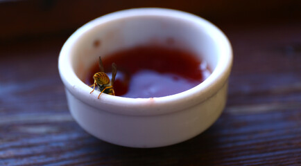 Honey bee collects some jam for producing honey.