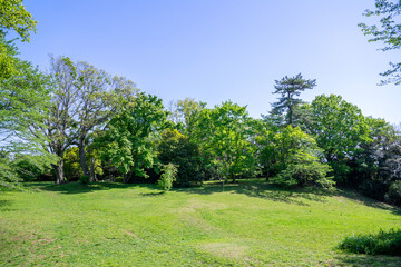 爽やかな公園の風景