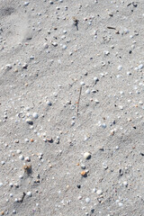 Sand and shells on a beach