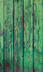 Fototapeta na wymiar weathered wooden boards painted with green chipped color from an abandoned door