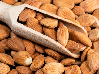 wooden scoop on apricot kernels close up