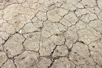 Fototapeta premium desertification landscape with cracked and dry rough soil as a consequence of global warming and climate change - surface of a wasteland desert