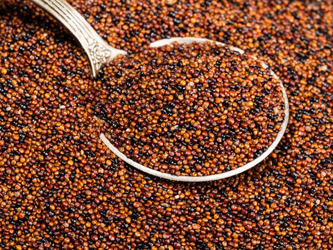 silver tablespoon in canihua seeds close up