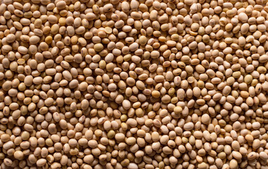 Close up soybeans background top view 