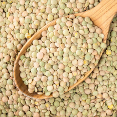 whole large green lentils in wooden spoon closeup
