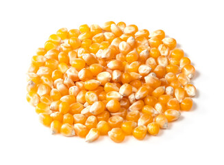 handful of raw maize (corn) seeds closeup on white
