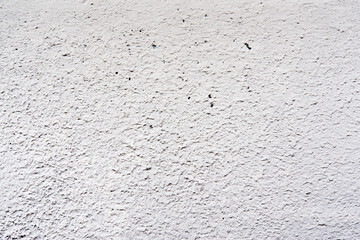 Rough white wall. Close up view