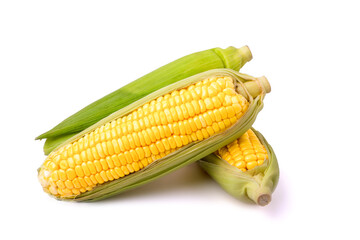 Fresh corn, peeled and peeled isolated on white background