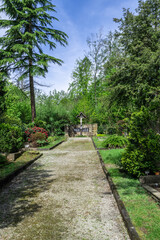 Hauptweg auf einem Waldfriedhof nahe Hösel 