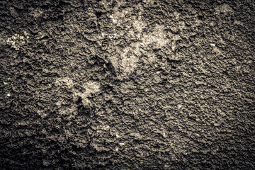 Moss and dirt on an old concrete wall. Close up view