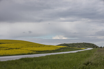 Skåne landscape with flowering rapeseed fields and cloud formations