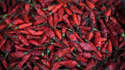 dried chili red