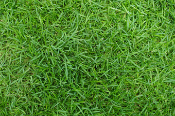 Artificial Grass Field Top View Texture. Green grass texture background. Top view with copy space.
