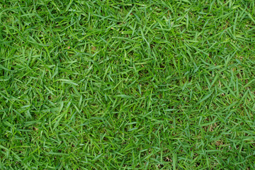 Artificial Grass Field Top View Texture. Green grass texture background. Top view with copy space.