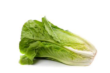 A head of fresh lettuce lies on a white isolated background.