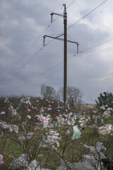 Obraz premium Lutsk, Volyn region, Ukraine, April 11, 2019; Garbage dump. Plastic bags on bushes and trees. Ecology. Danger. Environmental pollution.