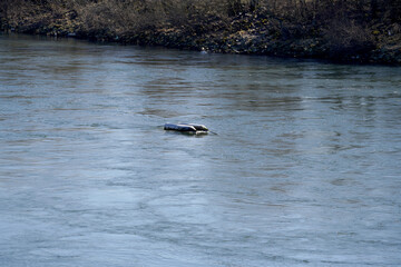 Danube river and its old waters are photographed in Bavaria near Regensburg