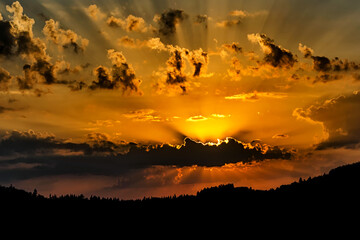 Beautiful sunset sky with clouds behind forest silhouette