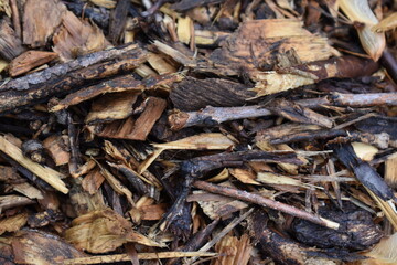Wet Wood Mulch