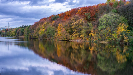 Autumn landscape near the lake. 