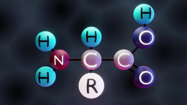 Video of Amino acid molecule, 3d render, Molecular structure of  amino acids