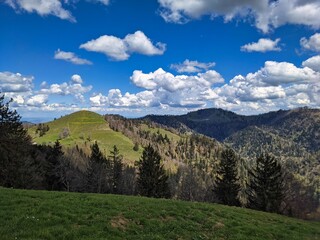 View from alp scheidegg towards huettchopf in the toessstock area zurich oberland. beautiful hilly landscape. forest 