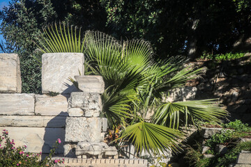 Obraz premium Ancient chunks of marble create uneven wall in Athens garden with tropical plants and roses and trees in the background.