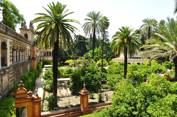 Fototapeta na wymiar Seville Alcazar gardens in summer, Spain