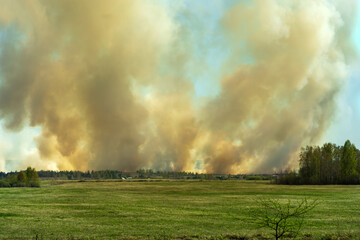 Obraz na płótnie Canvas Raging bushfire beyond the horizon, fire threatens homes standing on the edge of the forest