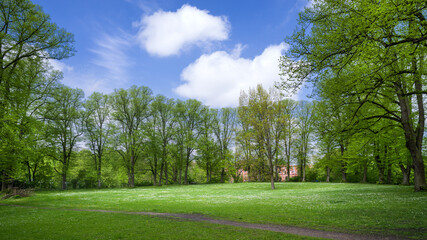 Hansestadt Lüneburg Bastion Park Frühling HD Format