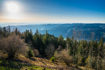 Germany, Schwarzwald panorama mountains view above the endless tree covered nature landscape of mountains and valleys from peak of hoernleberg