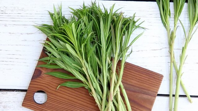 Above view of green willowherb or known as fireweed Chamaenerion angustifolium young fresh shroots in spring in home kitchen preparations for making food with them.