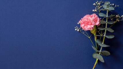 Rosa hermosa en fondo azul oscuro