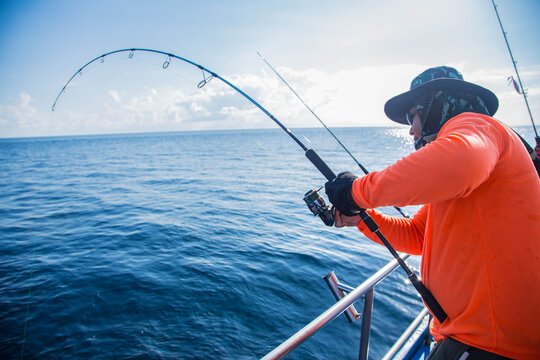 Sea Fishing With Spinning