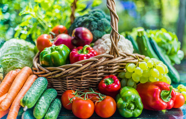 Variety of fresh organic vegetables and fruits in the garden