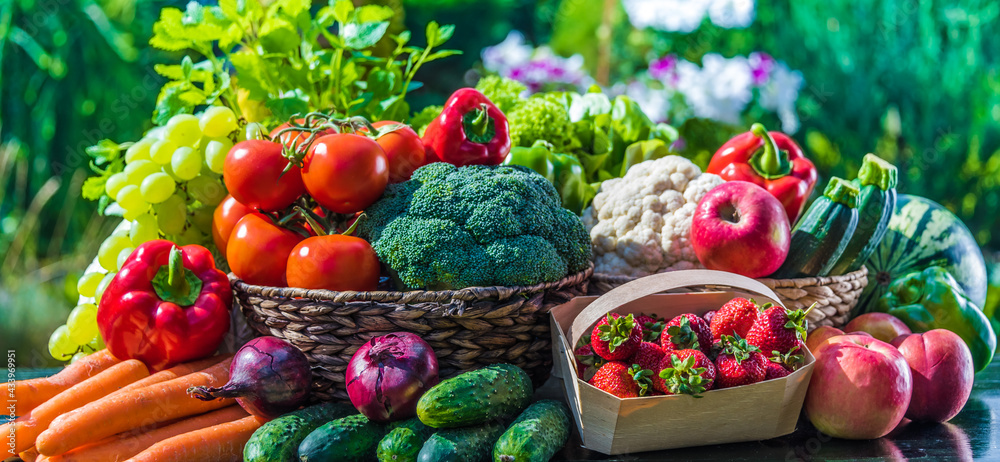 Wall mural variety of fresh organic vegetables and fruits in the garden