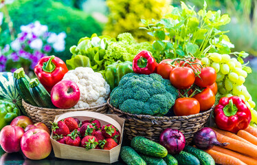 Variety of fresh organic vegetables and fruits in the garden