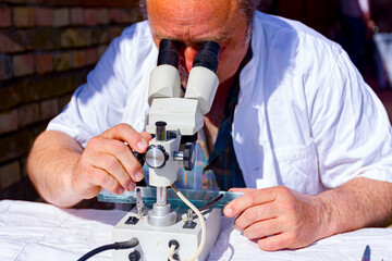 Veterinarian looks thru microscope at glass plates with a tissue sample, examines the parasites