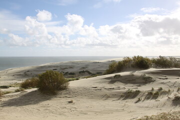 sand dunes on the coast