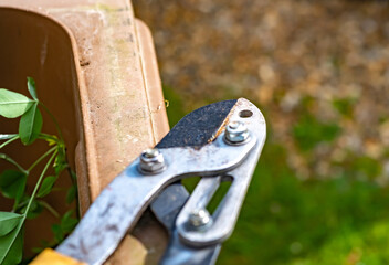 Close and selective focus on manual hedge clippers resting on a brown gardening bin with intentional bokeh