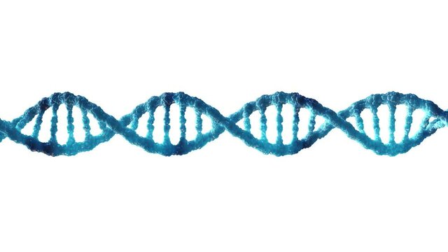 Animation of double helix DNA molecule isolated on white background. Molecular genetics and Genetic engineering.	
