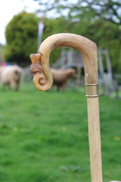 close up of a hand crafted shepherd's crook head with a carved Scottish thistle 