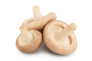 Fresh Shiitake mushroom isolated on white background with clipping path and full depth of field.