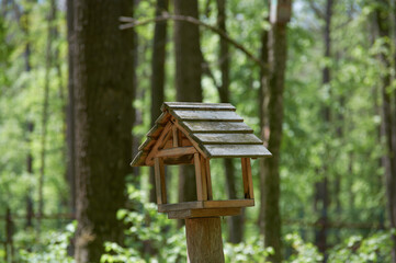 Wooden bird feeder in forest - stock photography
