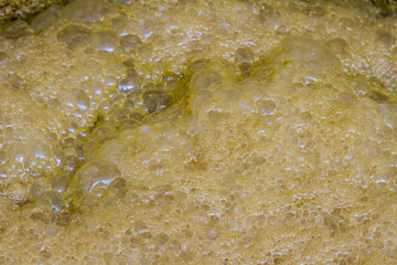Detalhe de fermentação de cachaça em alambique de Guarani, Minas Gerais, Brasil