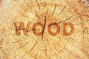 The texture of wood on a saw cut of a log with a pressed inscription the word wood. Annual rings...