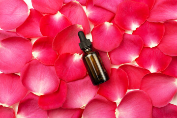Bottle of pure organic rose essential oil on background of fresh rose petals. Natural organic skin care cosmetics.
