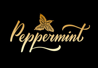 Vector illustration of peppermint lettering for packages, product design, banner, spice shop  price lists. Handwritten word with leaves for web or print
